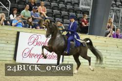 24BUCK_07608 thumbnail