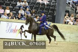 24BUCK_07610 thumbnail