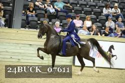 24BUCK_07611 thumbnail