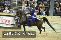 24BUCK_07612 thumbnail