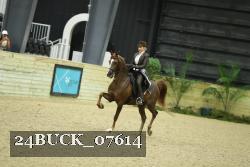 24BUCK_07614 thumbnail