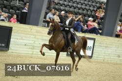 24BUCK_07616 thumbnail