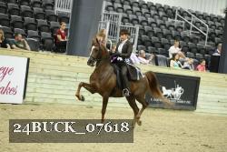 24BUCK_07618 thumbnail