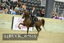 24BUCK_07619 thumbnail