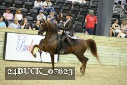 24BUCK_07623 thumbnail