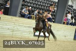24BUCK_07625 thumbnail