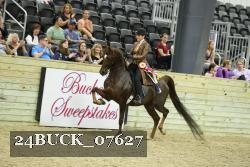 24BUCK_07627 thumbnail