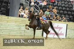 24BUCK_07628 thumbnail