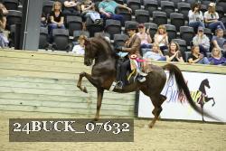 24BUCK_07632 thumbnail
