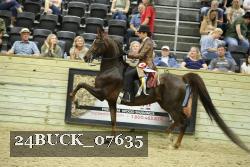 24BUCK_07635 thumbnail