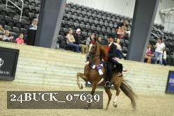 24BUCK_07639 thumbnail