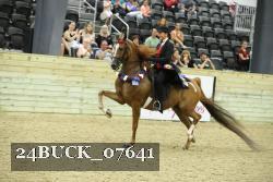 24BUCK_07641 thumbnail
