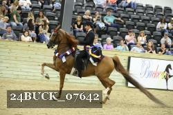 24BUCK_07642 thumbnail