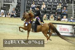 24BUCK_07644 thumbnail