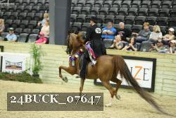 24BUCK_07647 thumbnail