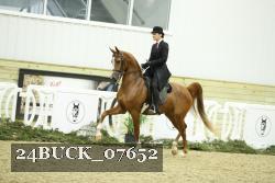 24BUCK_07652 thumbnail