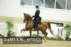 24BUCK_07653 thumbnail