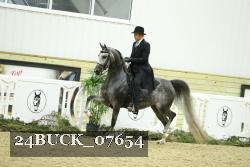 24BUCK_07654 thumbnail
