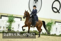24BUCK_07657 thumbnail