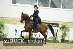 24BUCK_07659 thumbnail