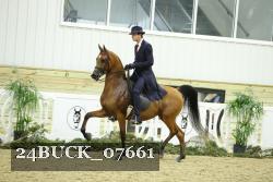 24BUCK_07661 thumbnail