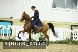 24BUCK_07662 thumbnail