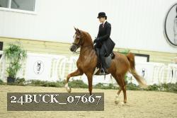 24BUCK_07667 thumbnail