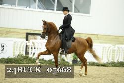 24BUCK_07668 thumbnail