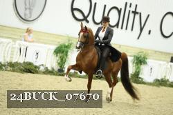 24BUCK_07670 thumbnail