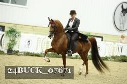 24BUCK_07671 thumbnail