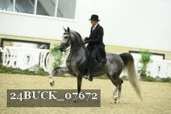 24BUCK_07672 thumbnail