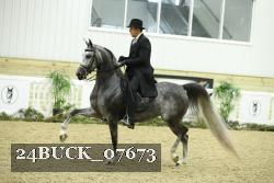 24BUCK_07673 thumbnail