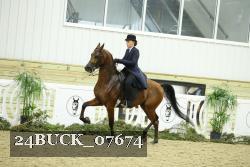 24BUCK_07674 thumbnail