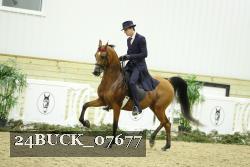 24BUCK_07677 thumbnail