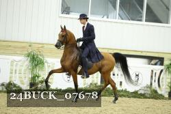 24BUCK_07678 thumbnail
