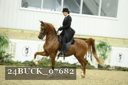 24BUCK_07682 thumbnail