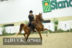 24BUCK_07691 thumbnail