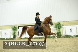 24BUCK_07693 thumbnail