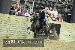 24BUCK_07710 thumbnail