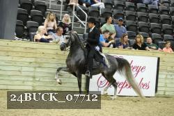 24BUCK_07712 thumbnail