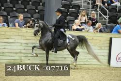 24BUCK_07716 thumbnail