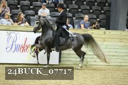 24BUCK_07717 thumbnail