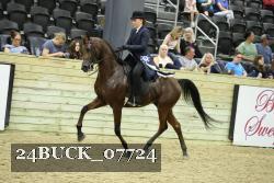 24BUCK_07724 thumbnail