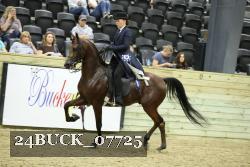 24BUCK_07725 thumbnail
