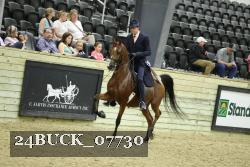 24BUCK_07730 thumbnail
