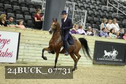 24BUCK_07731 thumbnail