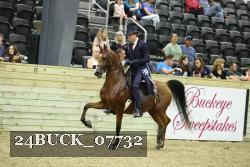24BUCK_07732 thumbnail