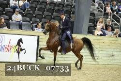 24BUCK_07733 thumbnail