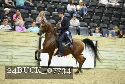 24BUCK_07734 thumbnail