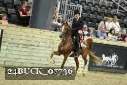 24BUCK_07736 thumbnail